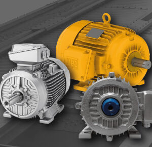 MOTORES ELÉCTRICOS
